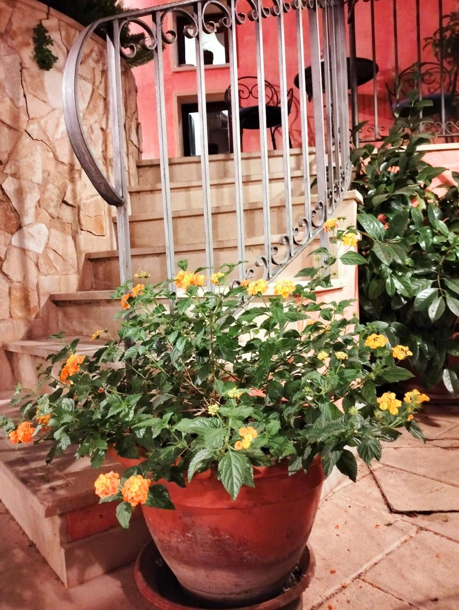 Hotel Il Barocco Рагуза Екстер'єр фото